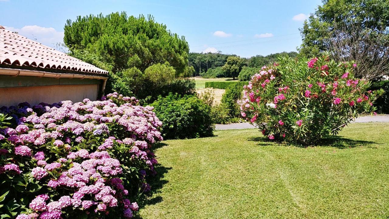 Вилла Le Prieure La Motte-de-Galaure Экстерьер фото